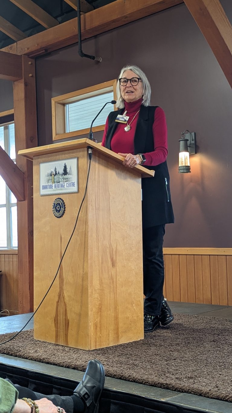 A woman with gray hair, glasses, and a red top speaks at a podium inside a wooden building. She stands on a small stage with a microphone, beside a window and a wall lamp.