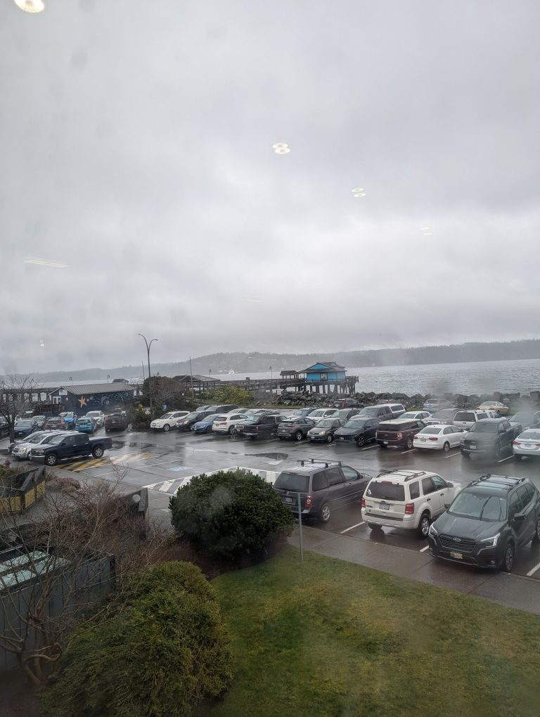 A cloudy, overcast day by the water with parked cars in a lot, a few small buildings near the shore, and hills in the distance. Some greenery is visible in the foreground.